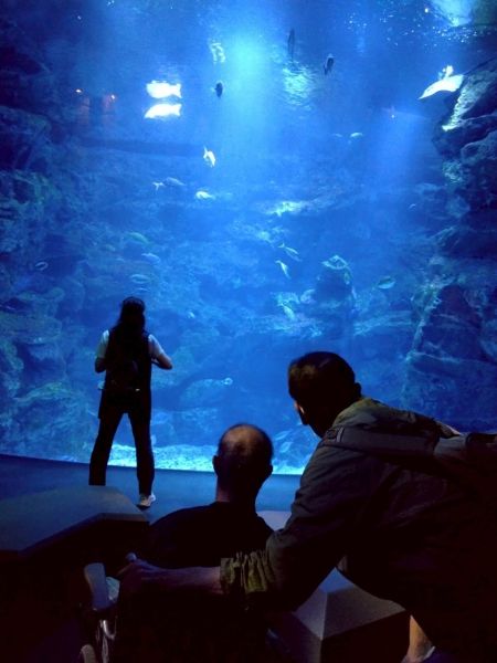☆水族館☆