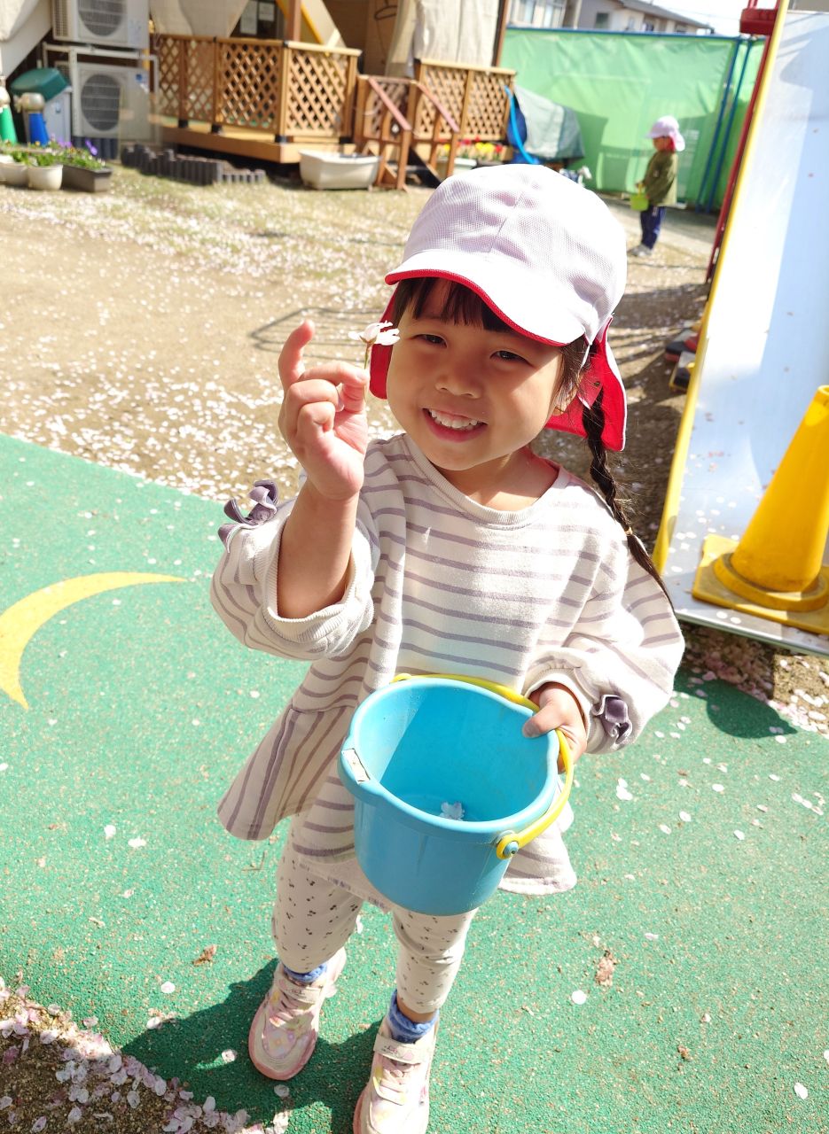 きれいだね