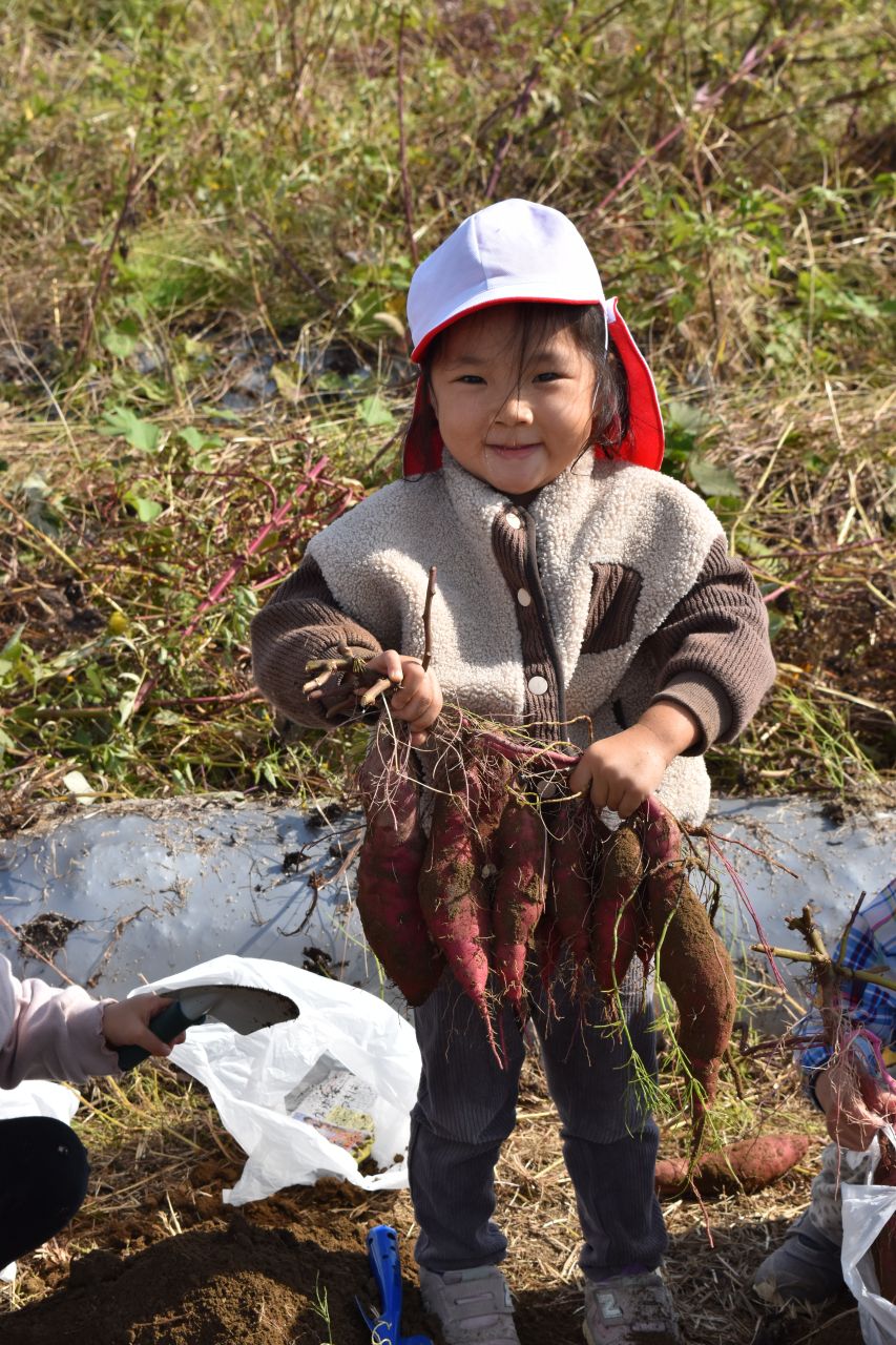 おいもがでてきた！