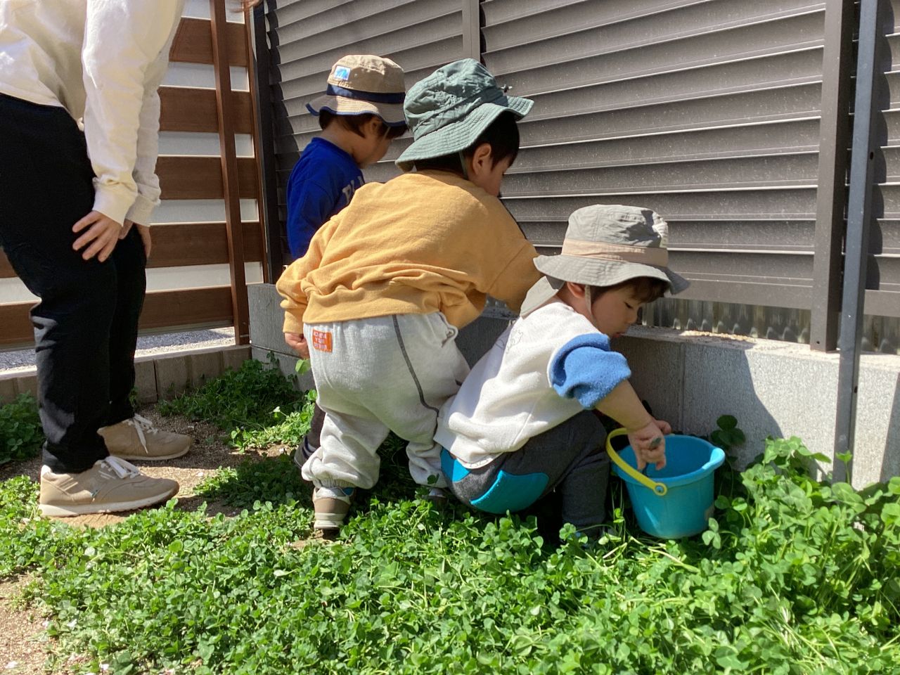 むしさがし