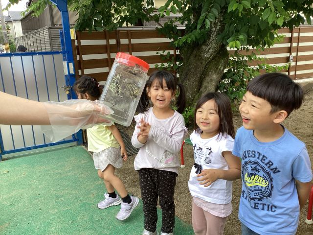 またきてね！ちょうちょさん