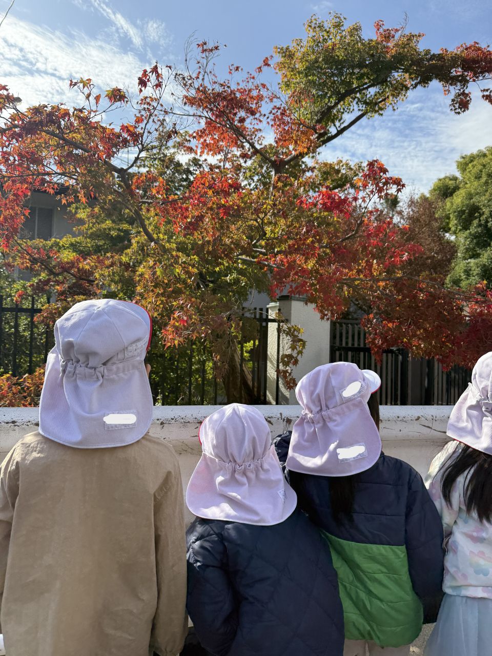 秋の自然　みーつけた！