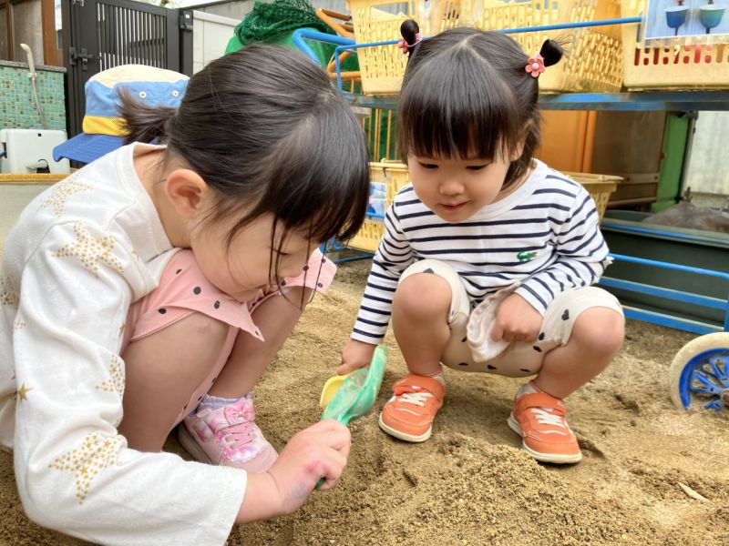 ことりグループ