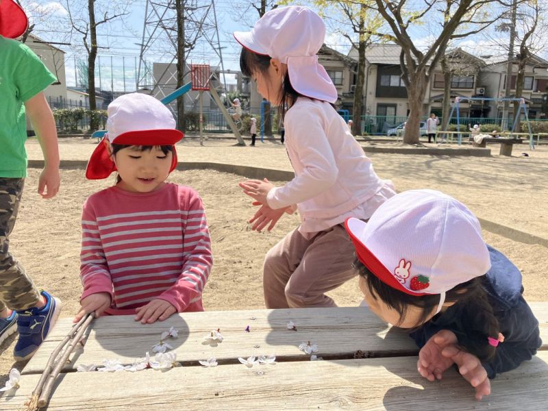 さかなグループ