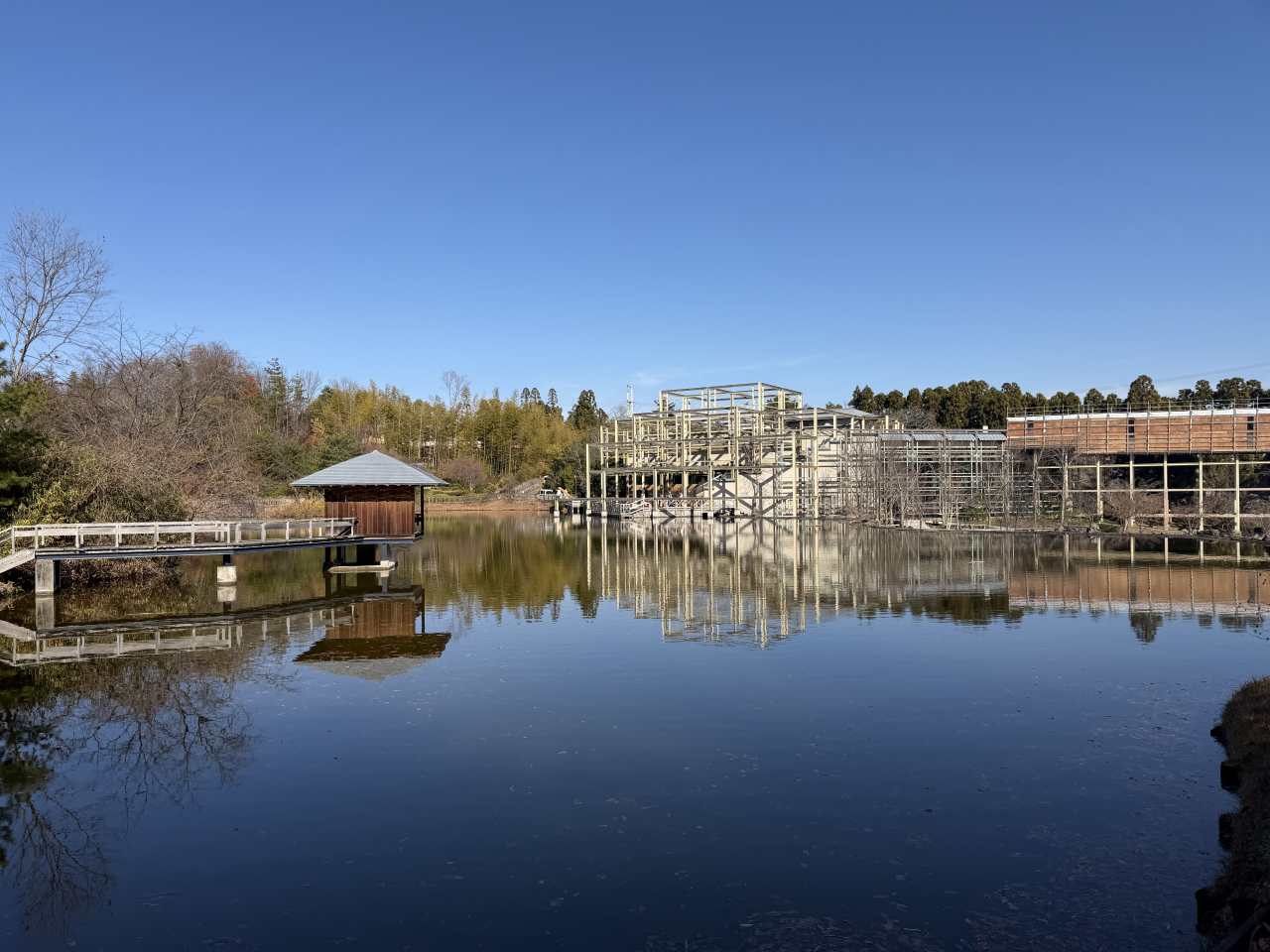 🚌5歳児ゆりぐみ園外保育🚌～けいはんな記念公園～