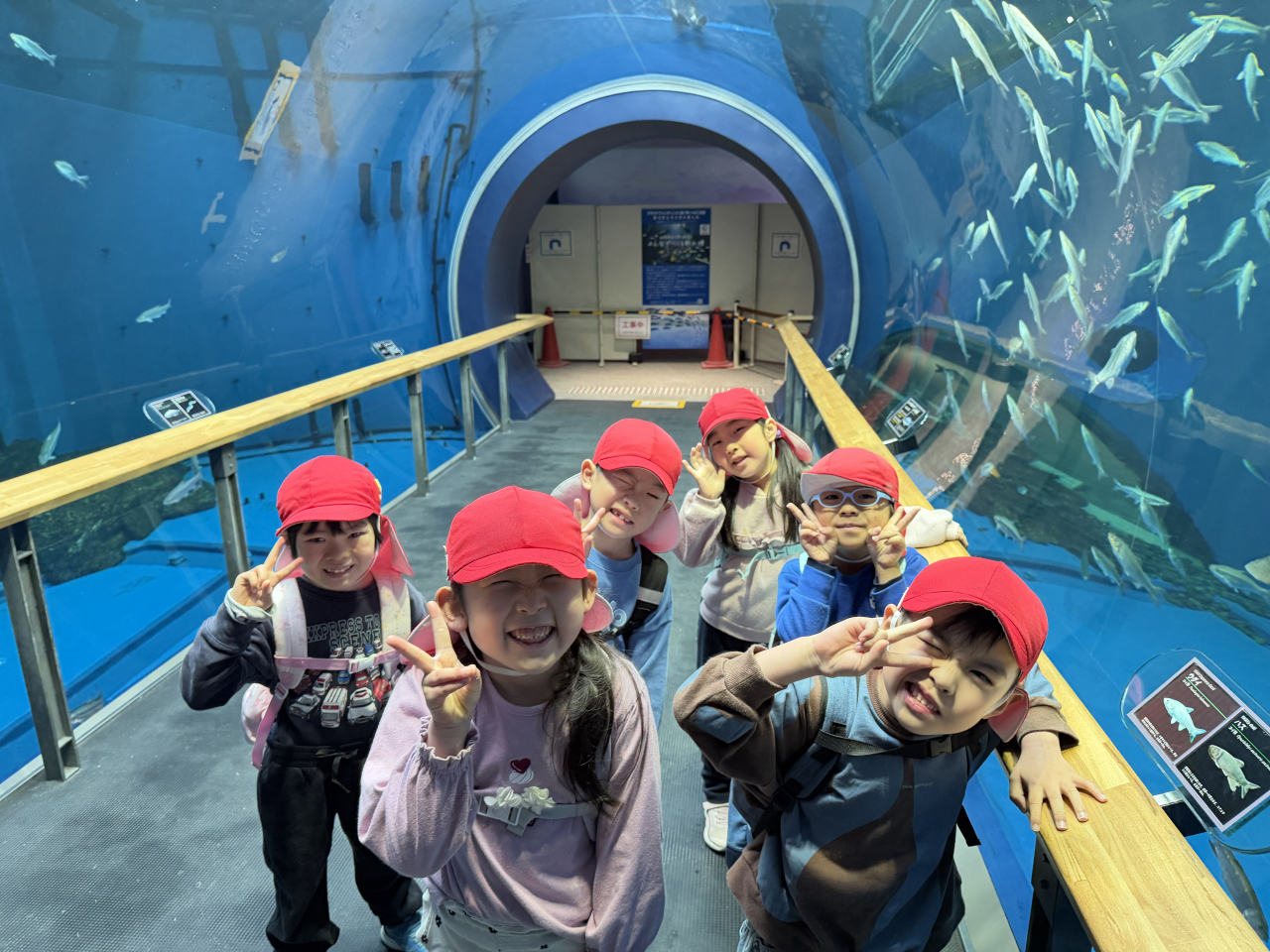 ♡5歳児ゆりぐみお楽しみ会の日＆肉じゃがクッキング♡