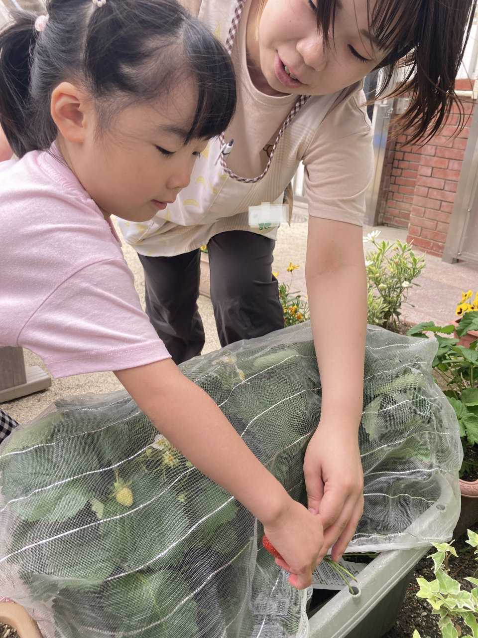 まっかな苺になったよ🍓