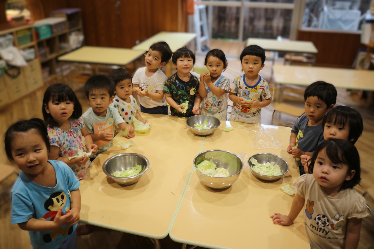 ２歳児すみれぐみ🥬きゃべつをちぎったよ👌