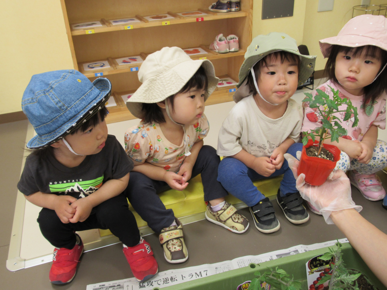 お野菜の苗植えをしたよ🍅🌽